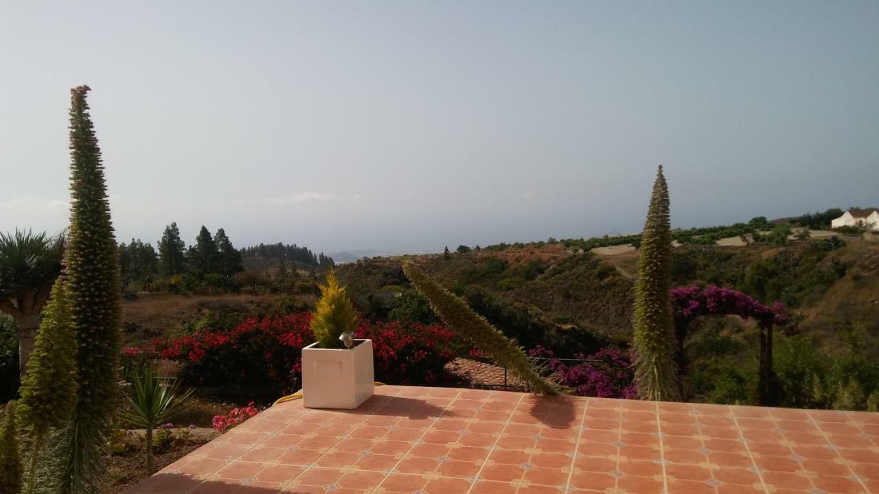 Finca Dulce Maikel Granadilla De Abona Luaran gambar